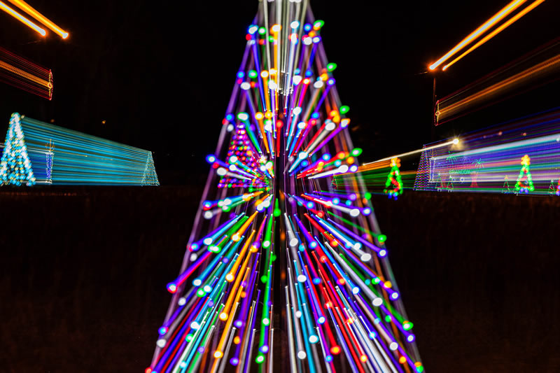 Prism Tree by Stino Scaletta